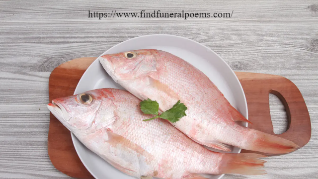 Membuat Variasi Masakan Lezat dengan Ikan Kakap